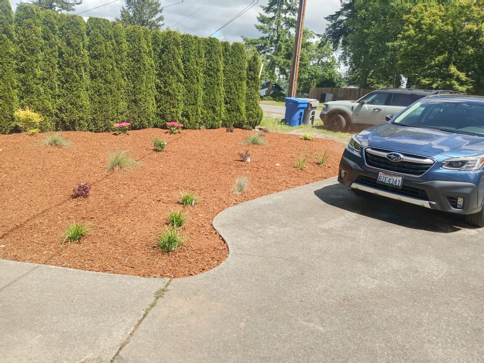 Lawn mowing and edging services to keep yards neat and professional