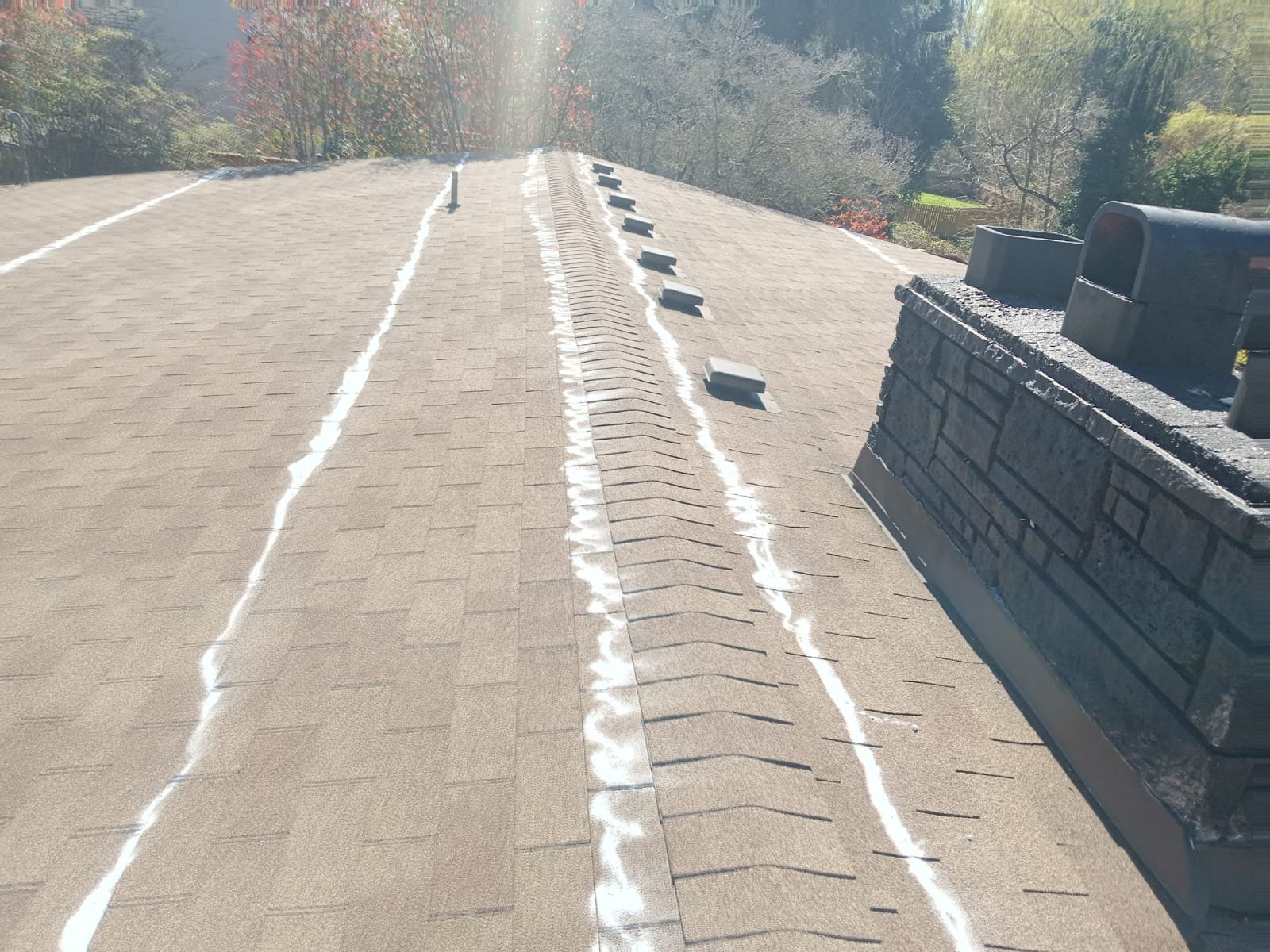 roof covered with asphalt shingles