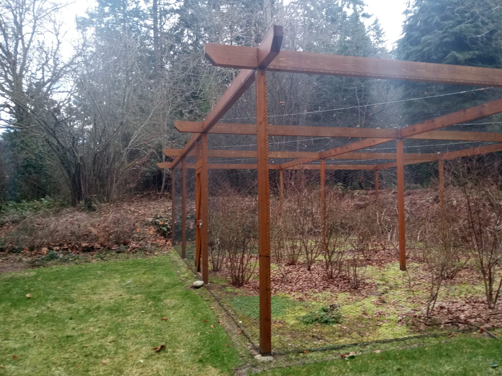 General fence construction services for secure and beautiful outdoor areas