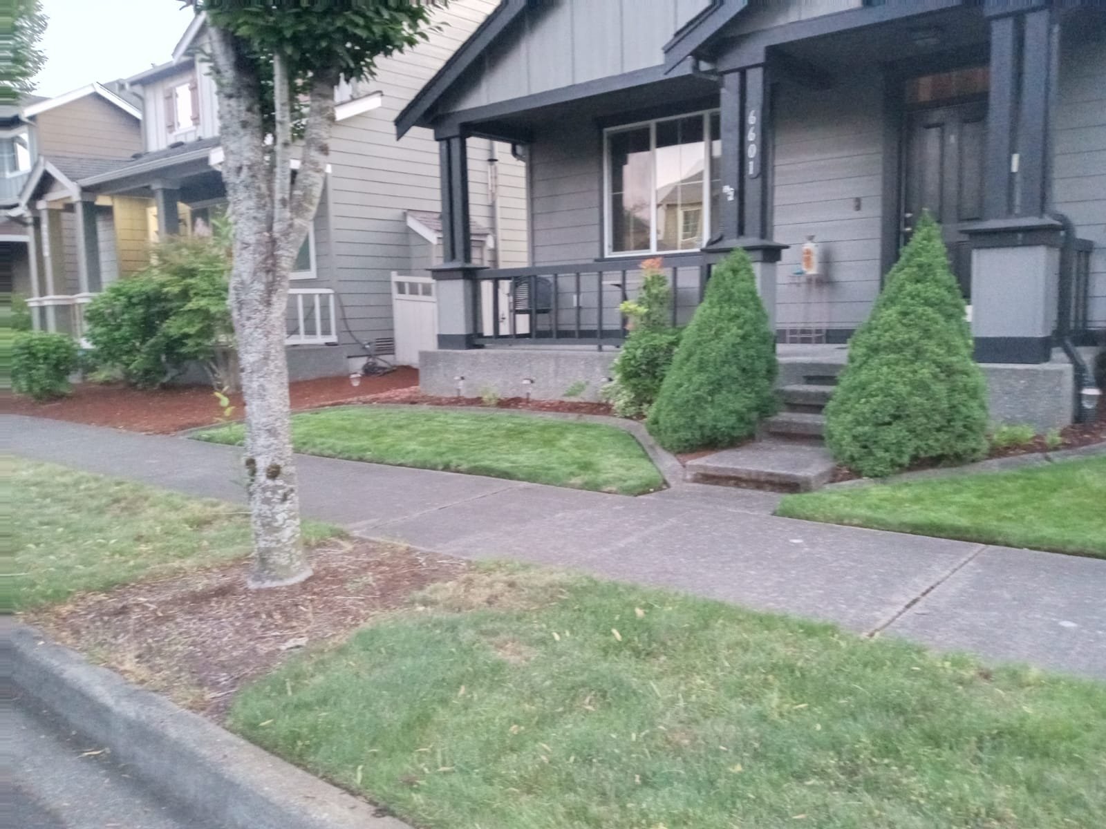 Lawn mowing and edging services to keep yards neat and professional