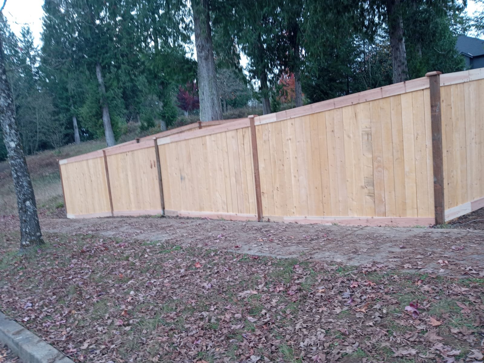 General fence construction services for secure and beautiful outdoor areas