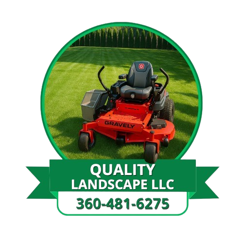 logo removebg preview