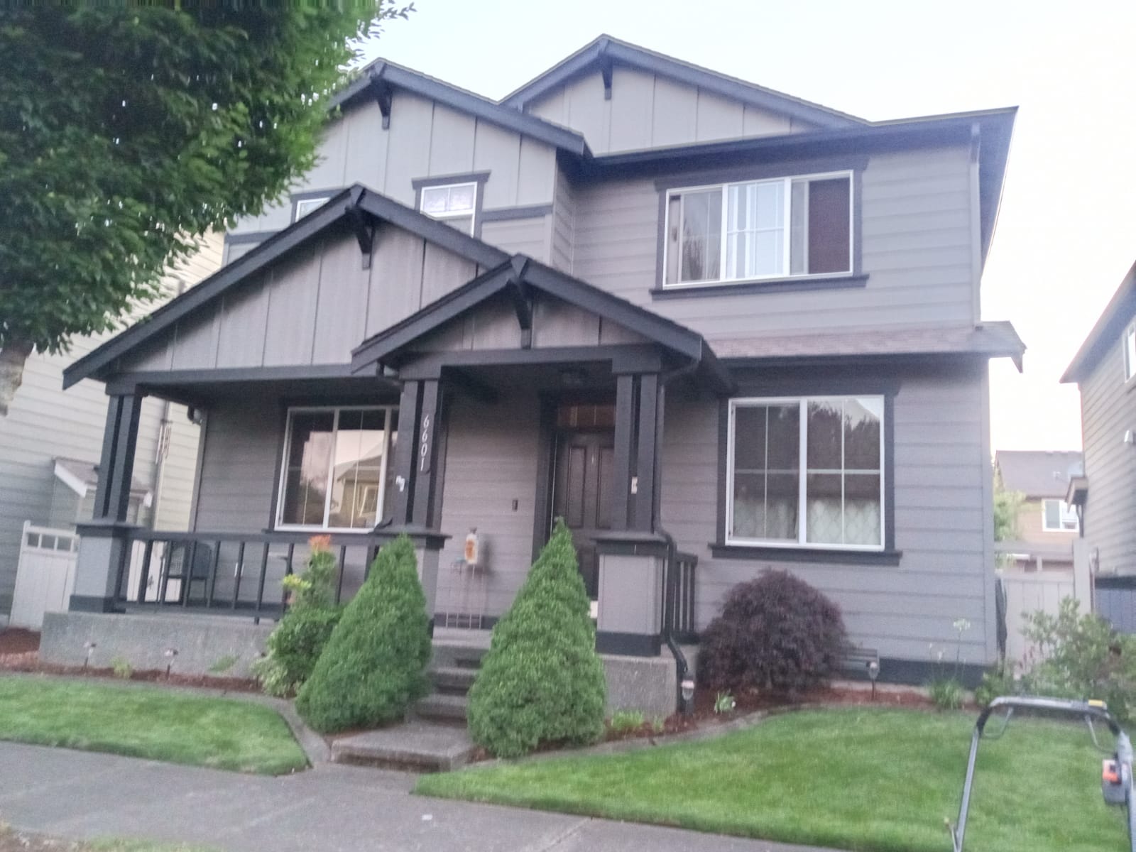 Tree trimming, removal, and planting services by expert landscapers in Olympia
