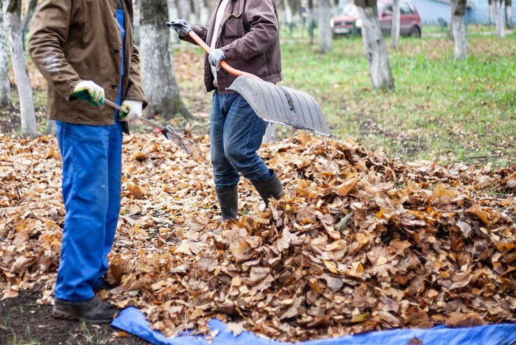 Fall cleanup services for residential and commercial properties in Olympia