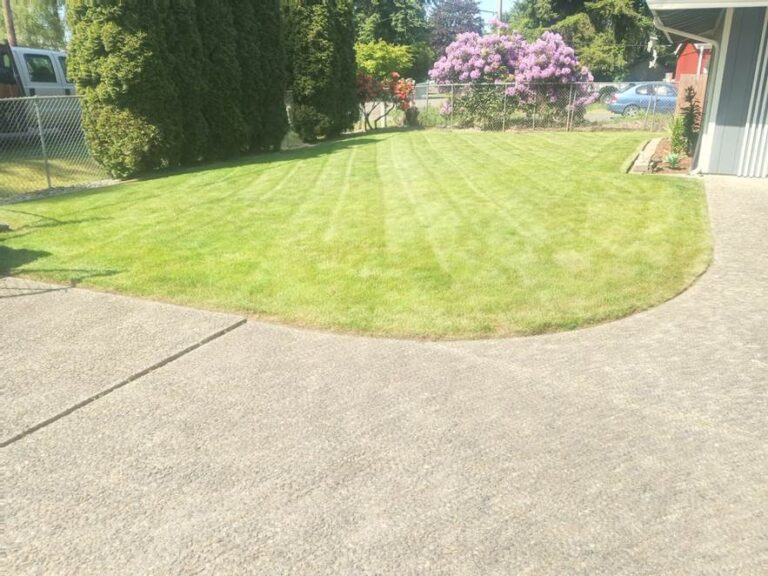Lawn mowing and edging services to keep yards neat and professional